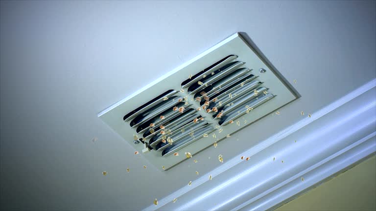 Best Ductwork Cleaning Services  in Carlsbad, NM